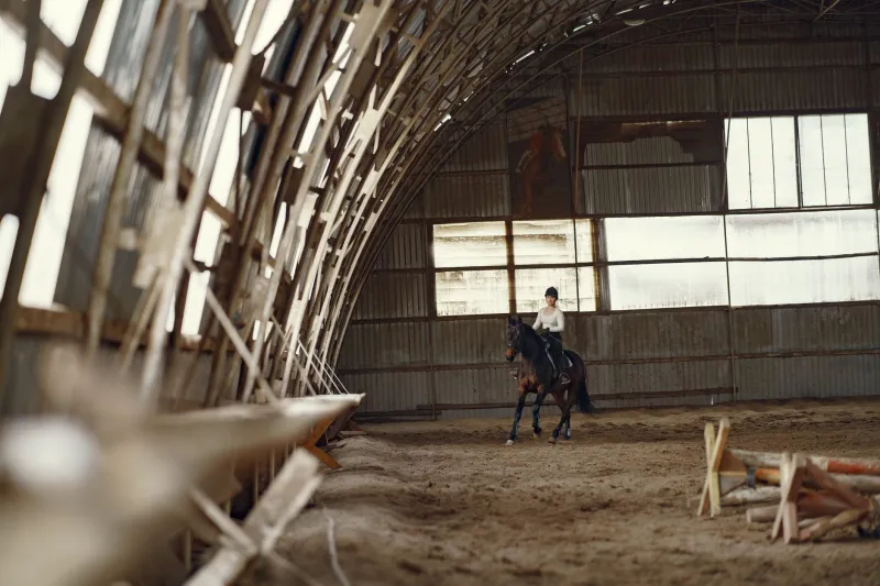 Saddle Up: Inside the Quiet Millions Being Made by the Horse Girl Economy
